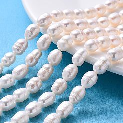 2連天然淡水養殖真珠ビーズ連  オーバル  ベージュ  8.5~12x6.5~7.5mm  穴：0.8mm  約32~39個/連  13.82インチ〜14.37インチ（35.1cm〜36.5cm）&nbsp;PEAR-NB0001-10