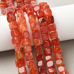 天然石ドラゴンアゲート瑪瑙ビーズ連売り  染め＆加熱  キューブ  レッドオレンジ  9~10x9~10x9~10mm  穴：1mm  約40個/連  14.37''（36.5センチメートル）&nbsp;G-G177-E01-05