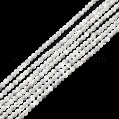 ナチュラルホワイトシェルビーズ  マザーオブパールシェルビーズ連売り  ラウンド  2mm  穴：0.5mm  約170~175個/連  39cm&nbsp;G-N0190-11-2mm