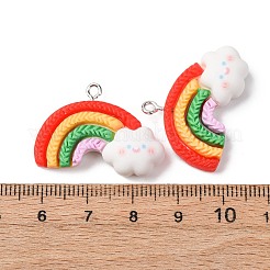 不透明樹脂ペンダント  プラチナトーンの鉄ループ付き  カラフル  レインボーチャーム  19.5x28.5x7mm  穴：1.5mm&nbsp;RESI-G127-01B