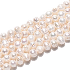 天然養殖淡水パールビーズ連売り  ポテト  乳白色  5~6x4.5~6.5mm  穴：0.6mm  約35~36個/連  6.89~7.09インチ（17.5~18cm）&nbsp;PEAR-N026-02