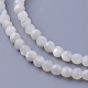 シェルビーズ連売り  多面カット  ラウンド  3~3.5mm  穴：0.8mm  約118個/連  15.31インチ（38.9cm）&nbsp;SSHEL-E571-38-3mm-1