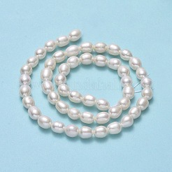 天然養殖淡水パールビーズ連売り  ライス  リネン  6~6.5x5~5.5mm  穴：0.7mm  約50~53個/連  13.78''（35センチメートル）&nbsp;PEAR-J006-17D