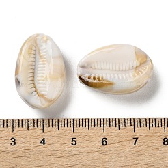 海をテーマにした不透明アクリルビーズ  カウリーシェルシェイプ  貝殻色  25x17x8.5mm  穴：2mm  約231個/500g&nbsp;OACR-U004-02A