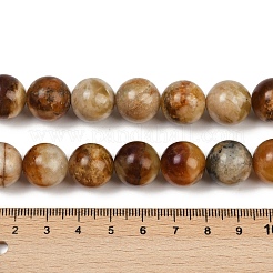 天然岫岩のヒスイのビーズ連売り  ラウンド  14~14.5mm  穴：1.4mm  約27~28個/連  14.76~15.16''（37.5~38.5センチメートル）&nbsp;G-F792-C02-03
