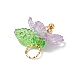 プラスチックとアクリルのペンダント  真鍮パーツ  花  ゴールドカラー  12~13x12x15mm  穴：3.5mm&nbsp;PALLOY-JF03053-01