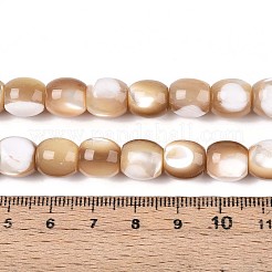 天然トロチッドシェル/トロカスシェルビーズ連売り  バレル  小麦  9~10x8~10mm  穴：1mm  約40個/連  15.75インチ（40cm）&nbsp;SSHEL-N040-14