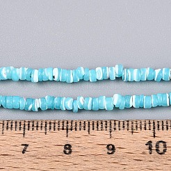 天然トロチッドシェル/トロカスシェルビーズ連売り  染め  フラットラウンド  空色  2.5~3.5x0.2~3mm  穴：0.5~0.6mm  約270~290個/連  14.96~15.35インチ（38~39cm）&nbsp;SSHEL-N040-21B