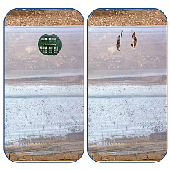 プラスチックステープルガスケット  ガーデニングツール  フラットラウンド  グリーン  67x63x2mm  穴：5.5mm＆9x5mm&nbsp;FIND-WH0173-336B
