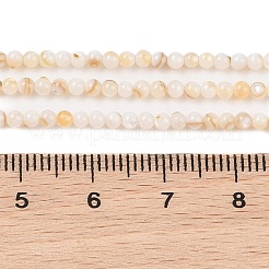 天然淡水シェルビーズ連売り  ラウンド  貝殻色  4mm  穴：0.6mm  約92個/連  14.96''（38センチメートル）&nbsp;X-SHEL-T011-02-4mm