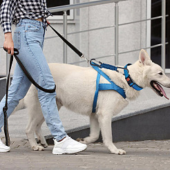 4個 4色 ポリエステルコード編み 犬用ハーネス カラー リーシュ コネクター  アルミニウム合金クラスプ犬首輪安全クリップ  ミックスカラー  193x22x8mm&nbsp;AJEW-GO0001-38