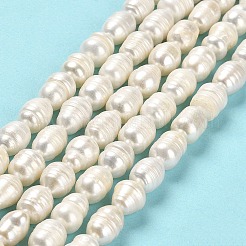 天然養殖淡水パールビーズ連売り  ライス  グレードAB  フローラルホワイト  10~10.5x8~9mm  穴：0.5mm  約30~31個/連  13.39インチ（34cm）&nbsp;PEAR-E016-083