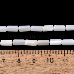 天然淡水シェルビーズ連売り  コラム  ホワイト  8x4mm  穴：0.6mm  約22~23個/連  6.85''~7.09''（17.4~18センチメートル）&nbsp;SH-CBA2978-21B