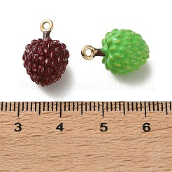 合金エナメルチャーム  釈迦牟尼のフルーツチャーム  ゴールドカラー  ミックスカラー  17x11x10.5mm  穴：1.4mm&nbsp;FIND-Z117-10G