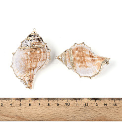 金色の真鍮の縁取りが付いた天然の貝殻の大きなペンダント  貝殻の形のチャーム  貝殻色  58~65x35~42x27~29mm  穴：1.6mm&nbsp;BSHE-T014-19