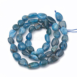 天然石アパタイトビーズ連売り  オーバル  5~15x4~10x2~6mm  穴：1mm  約40~60個/連  15.7インチ&nbsp;G-S331-6x8-002
