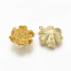 真鍮チャーム  ニッケルフリー  花  生（メッキなし）  20x17.5x8.5mm  穴：1.6mm&nbsp;KK-S349-254-NF