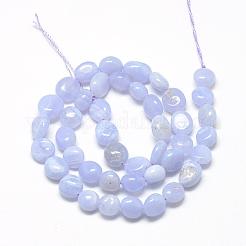 天然石ブルーレースアゲートビーズ連売り  ナゲット  6~10x4~7x4~7mm  穴：1mm  約43~62個/連  15.7インチ&nbsp;G-R445-6x8-10