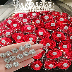 合金クリスタルラインストーンヘッドピン10個  結婚式の花束の装飾用  銀  13.5~14mm&nbsp;FIND-LP0009-12