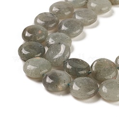 天然石ラブラドライトビーズ連売り  フラットラウンド  14.6~15.5x6~6.5mm  穴：0.8mm  約27個/連  15.59''~15.87''（39.6~40.3センチメートル）&nbsp;G-M403-C09-01