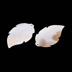天然淡水貝の彫刻が施された大きなペンダント  葉のチャーム  貝殻色  67x39~40x3~4mm  穴：3mm&nbsp;SHEL-T020-50