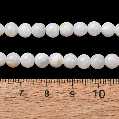天然淡水シェルビーズ連売り  スムーズなラウンド  ホワイト  6mm  穴：0.7mm  約33個/連  7.09''（18センチメートル）&nbsp;SH-CBA2978-07D-04