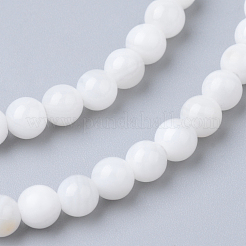 天然淡水シェルビーズ連売り  ラウンド  4mm  穴：0.5mm  約99個/連  15.7インチ&nbsp;SHEL-S249-29