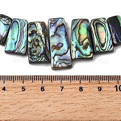 天然パウアシェルビーズ連売り  台形  トップ掘削  カラフル  15.5~28x10~11.5x4~5mm  穴：0.8~0.9mm  約7個/連  2.76''（7センチメートル）&nbsp;BSHE-S305-01A