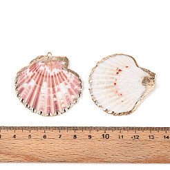 貝殻ペンダントを電気メッキ  鉄パーツ  ライトゴールド  カラフル  35~53x34~52x7~11mm  穴：2mm&nbsp;LS-SSHEL-S262-32