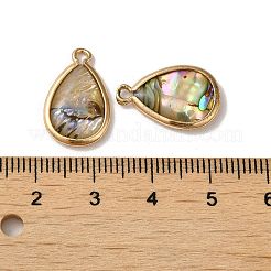 天然パウアシェル樹脂ペンダント  真鍮パーツ  ティアドロップチャーム  ゴールドカラー  18x11.5x3mm  穴：1.6mm&nbsp;KK-F865-24G