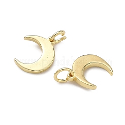 真鍮チャーム  ムーンチャーム  長持ちメッキ  ラックめっき  鉛フリー＆カドミウムフリー  18KGP本金メッキ  12.5x9.5x1.5mm  穴：3mm  丸カン：5x1m&nbsp;KK-H256-08G