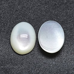 シェルカボション  オーバル  ホワイトスモーク  10x8x3.5~4mm&nbsp;SSHEL-P015-59F