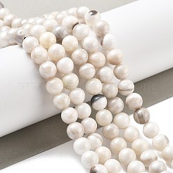 天然石ペルシア翡翠ビーズ連売り  ラウンド  染め  フローラルホワイト  8.5mm  穴：1mm  約46個/連  15.75''（40センチメートル）&nbsp;G-A255-A02-02K