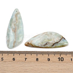 天然異極鉱ペンダント  翼のチャーム  37.5x15x4mm  穴：1.2mm&nbsp;G-H325-10