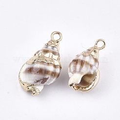 電気メッキ巻き貝ペンダント  鉄パーツ  ライトゴールド  貝殻色  18~25x10~15x8~12mm  穴：2mm&nbsp;SSHEL-S262-20