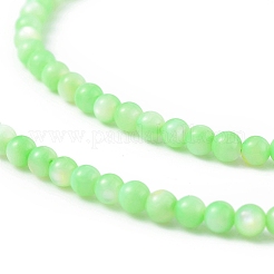 天然淡水シェルビーズ 125 個  染め  ラウンド  薄緑  3mm  穴：0.5mm&nbsp;SHEL-B002-01C