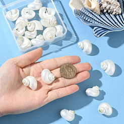 天然スパイラルシェルビーズ20個  穴がない  シェル形状  貝殻色  21~29x21~29x17~25mm&nbsp;SSHEL-SC0001-56