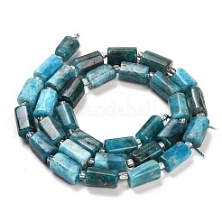 天然石アパタイトビーズ連売り  シードビーズで  ファセット列  9~11x6~7.5x6~7.5mm  穴：1.2mm  約30個/連  15.16~15.55インチ（38.5~39.5cm）&nbsp;G-G068-A11-01
