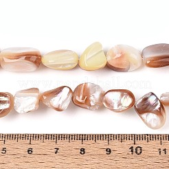 天然石シーシェルビーズ連売り  ナゲット  ペルー  9~21x7.5~24x3~12mm  穴：0.5~0.7mm  約28~34個/連  14.57~15.35インチ（37~39cm）&nbsp;SSHEL-N041-02B