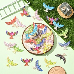 透明レジンカボション10個  鳥  ミックスカラー  24x36mm&nbsp;FIND-YW0008-82