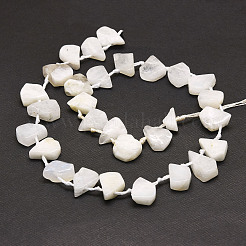 天然レインボー ムーンストーン ビーズ 連売り  ティアドロップ  12~20x5~15x3~7mm  穴：0.8mm  約24個/連  15.04''（38.2センチメートル）&nbsp;G-E569-R01