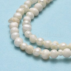 天然養殖淡水パールビーズ連売り  ポテト  ベージュ  2.5~3x3.5~4.5x3~4mm  穴：0.5mm  約119~124個/連  13.78~13.90インチ（35~35.3cm）&nbsp;X-PEAR-F018-11