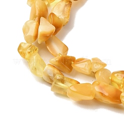 天然琥珀ビーズ連売り  ナゲット  5~9x4~6x3~4.5mm  穴：0.7mm  約75~89個/連  15.35''（39cm）〜15.94''（40.5cm）&nbsp;G-I389-A15
