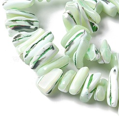染色された天然トロクスシェルビーズ連売り  ナゲット  薄緑  9~21x5~7x6~8mm  穴：1.2mm  約54~67個/連  14.76~15.24インチ（37.5~38.7cm）&nbsp;SSHEL-C013-09I
