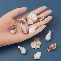 アクリルパーツ  イミテーションシェル＆パールスタイル  シェル  フローラルホワイト  25x17x5mm  穴：1.6mm  5.5グラム  8のPCについて&nbsp;OACR-YW0001-23
