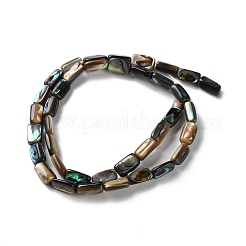天然パウアシェルビーズ連売り  長方形  10~11x5.5~6x3~4mm  穴：0.8mm  約40個/連  15.79''（40.1センチメートル）&nbsp;SSHEL-B002-14