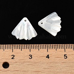 ナチュラルホワイトシェルチャーム  シェル形状  ホワイトスモーク  13.5x14.5x2mm  穴：1mm&nbsp;SSHEL-M022-08