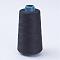 Polyester Thread, Black, 0.28mm, about 1749.78 yards(1600m)/roll
