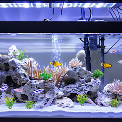 18個 6スタイル プラスチック海草ディスプレイ装飾  マイクロ風景水槽水族館の装飾アクセサリー  グリーン  46~95x52~65x25~38mm  3個/スタイル&nbsp;DJEW-GF0001-84