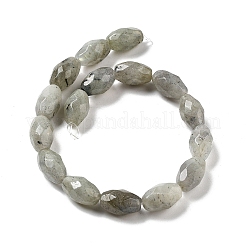 天然石ラブラドライトビーズ連売り  多面カットコメ  12.5x8mm  穴：1.2mm  約16個/連  7.68''（19.5センチメートル）&nbsp;G-P520-C08-01